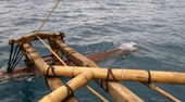 canoe5