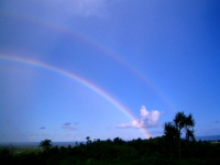 travel_climate1